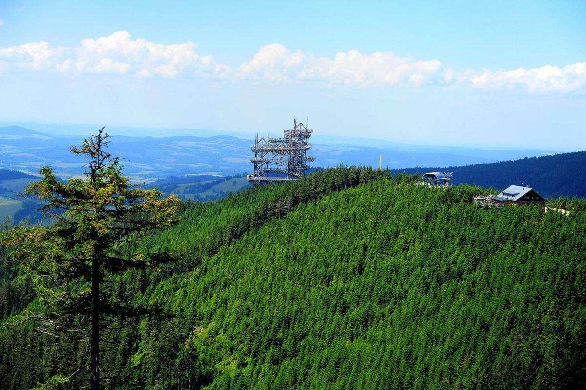 Apartmán u svahu Dolní Morava Esterno foto